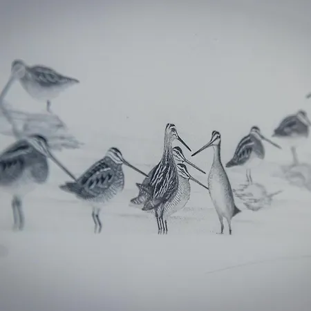 Casantilvia Heated Pool Paradise