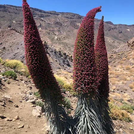 Casantilvia Heated Pool Paradise 아데제