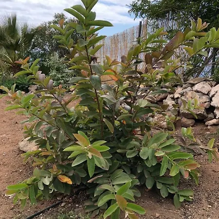 Casantilvia Heated Pool Paradise 아파트