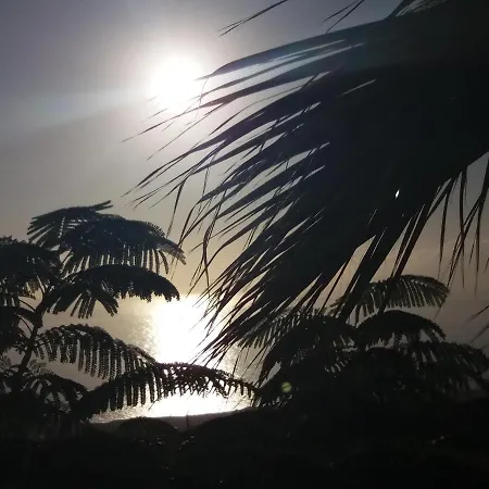 Casantilvia Heated Pool Paradise דירה *