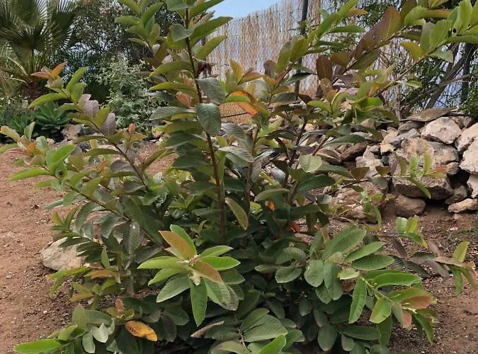 Casantilvia Heated Pool Paradise Apartmán