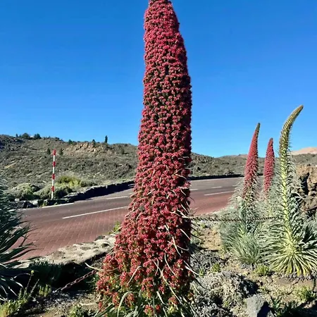 Casantilvia Heated Pool Paradise *