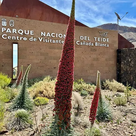 Casantilvia Heated Pool Paradise Appartement *