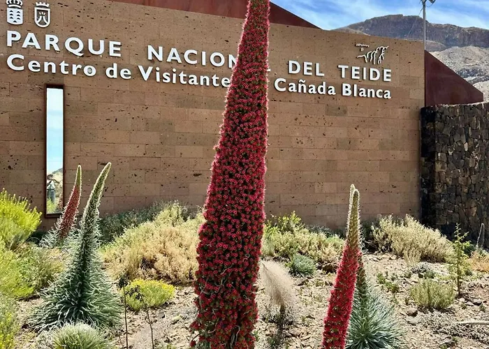 Casantilvia Heated Pool Paradise Διαμέρισμα *